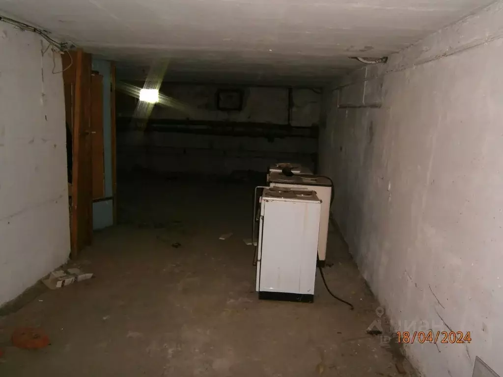 Помещение свободного назначения в Новосибирская область, Новосибирск ... - Фото 1