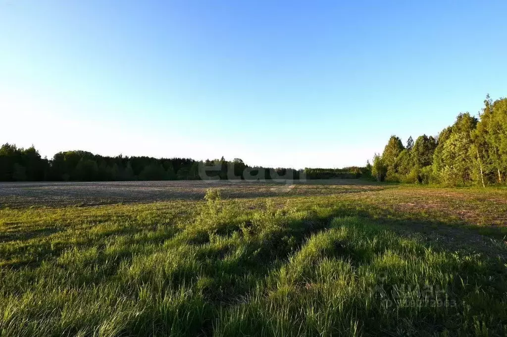 Участок в Татарстан, Лаишевский район, с. Среднее Девятово, ... - Фото 0