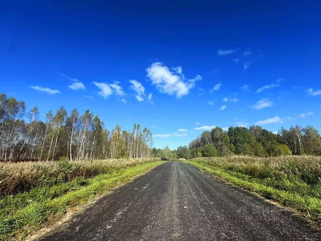 Участок в Московская область, Дмитровский муниципальный округ, Сбоево ... - Фото 2