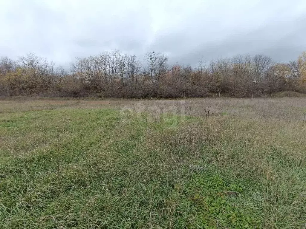 Участок в Крым, Симферопольский район, Добровское с/пос, с. ... - Фото 2