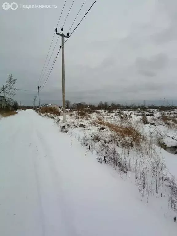 Участок в Первомайский район, село Фирсово (8.17 м) - Фото 1
