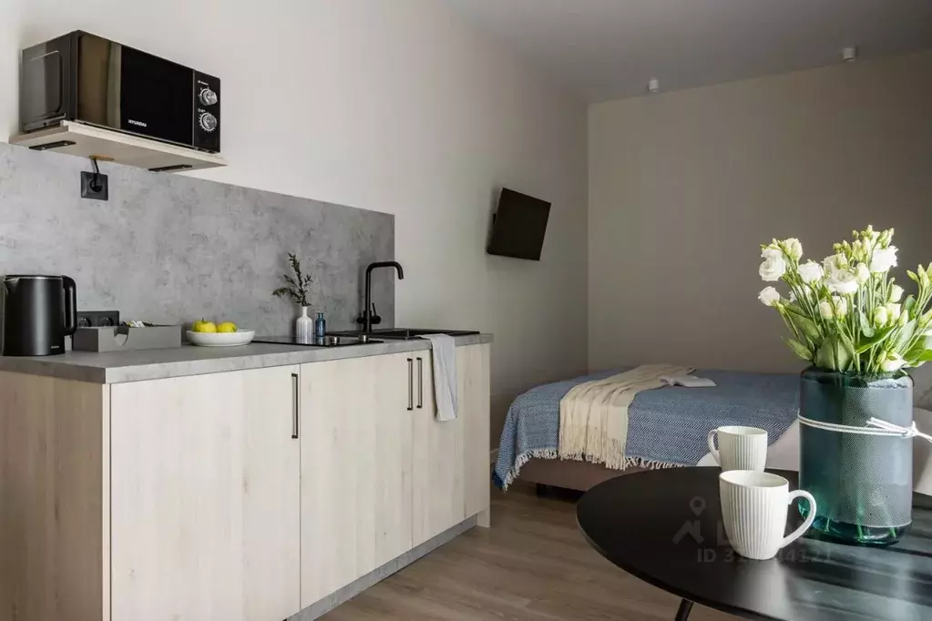 1-к кв. Санкт-Петербург Малая Посадская ул., 4 (20.0 м) - Фото 2