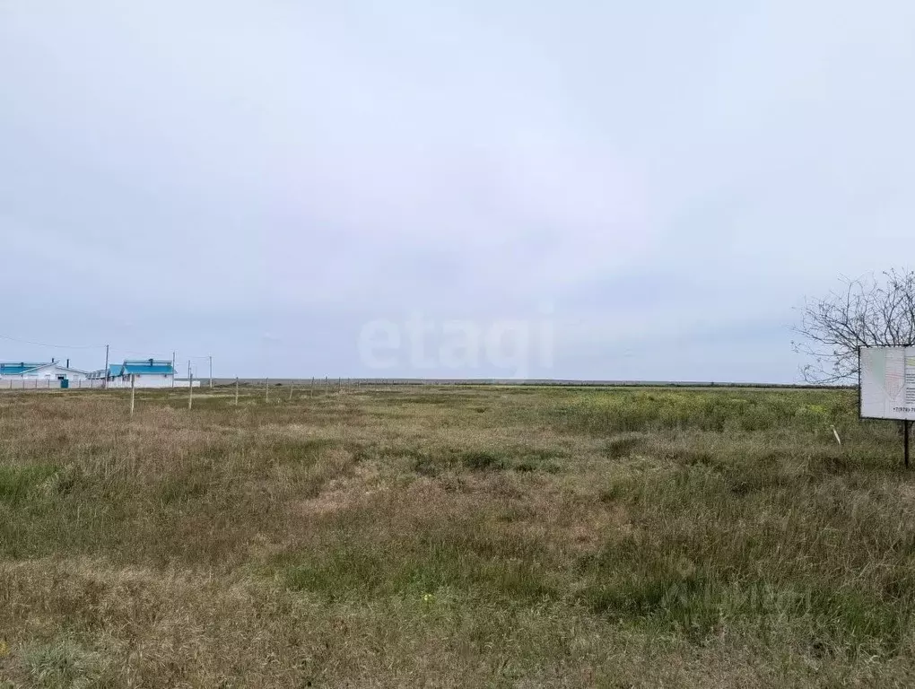 Участок в Крым, Черноморский район, Окуневское с/пос, с. Знаменское  ... - Фото 2