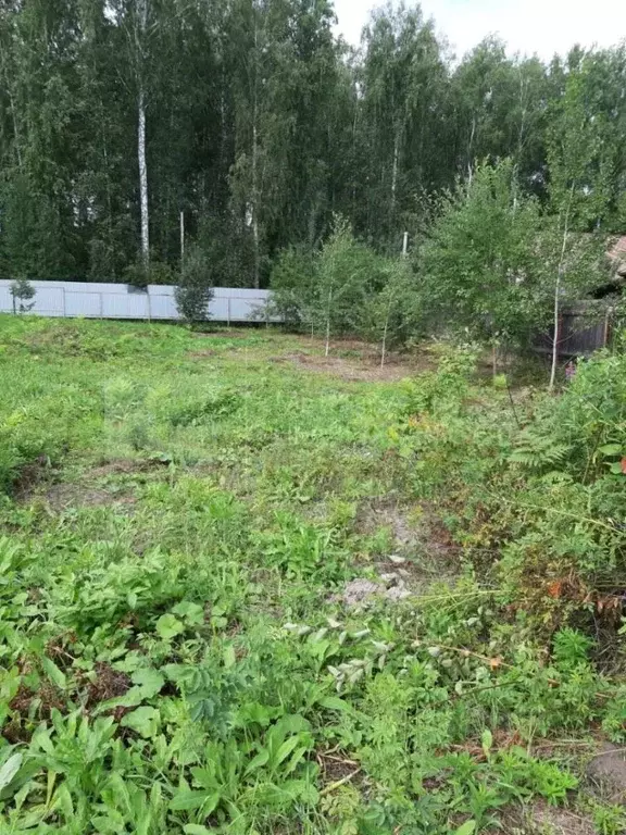 Участок в Тюменская область, Тюмень Труфаново мкр, ул. Черемуховая, 16 ... - Фото 1