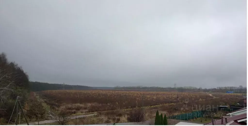 Участок в Нижегородская область, Богородский муниципальный округ, с. ... - Фото 2