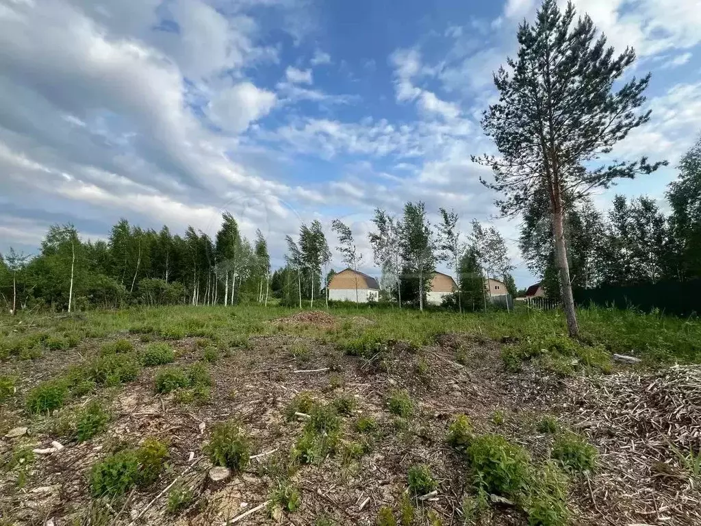 Участок в Тюменская область, Тюмень СОСН Березка-3 тер., ул. 23-я ... - Фото 1