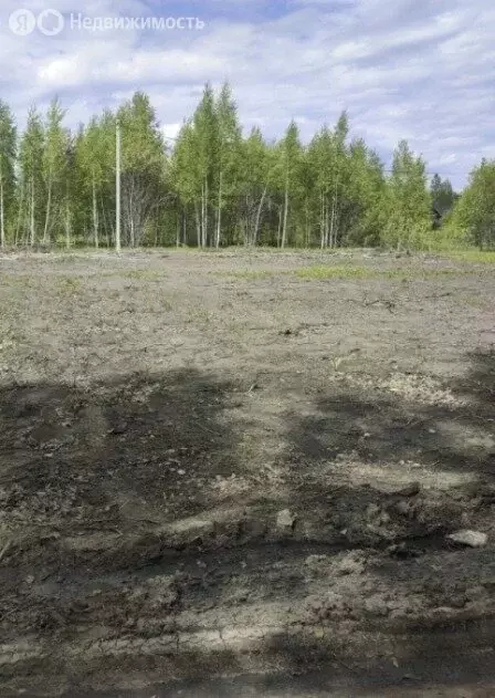 Участок в Новосибирский район, Станционный сельсовет, станция Мочище ... - Фото 1