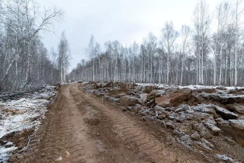 Участок в Нижнетавдинский район (9.3 м) - Фото 0