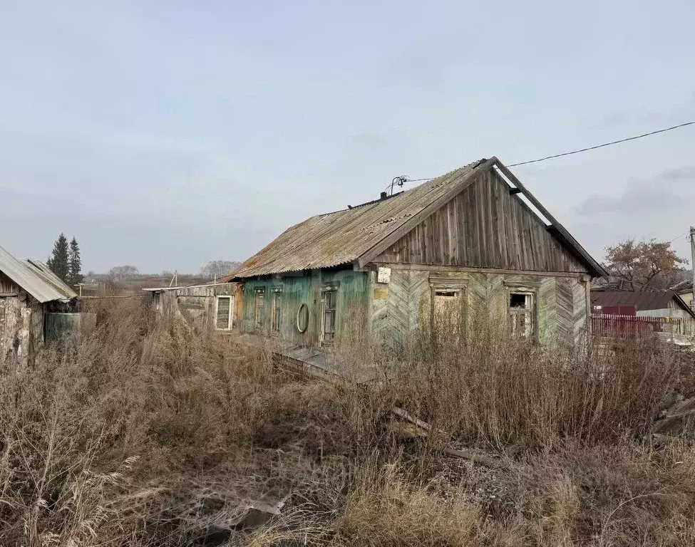 Участок в Челябинская область, Пласт ул. Чехова (13.0 сот.) - Фото 2