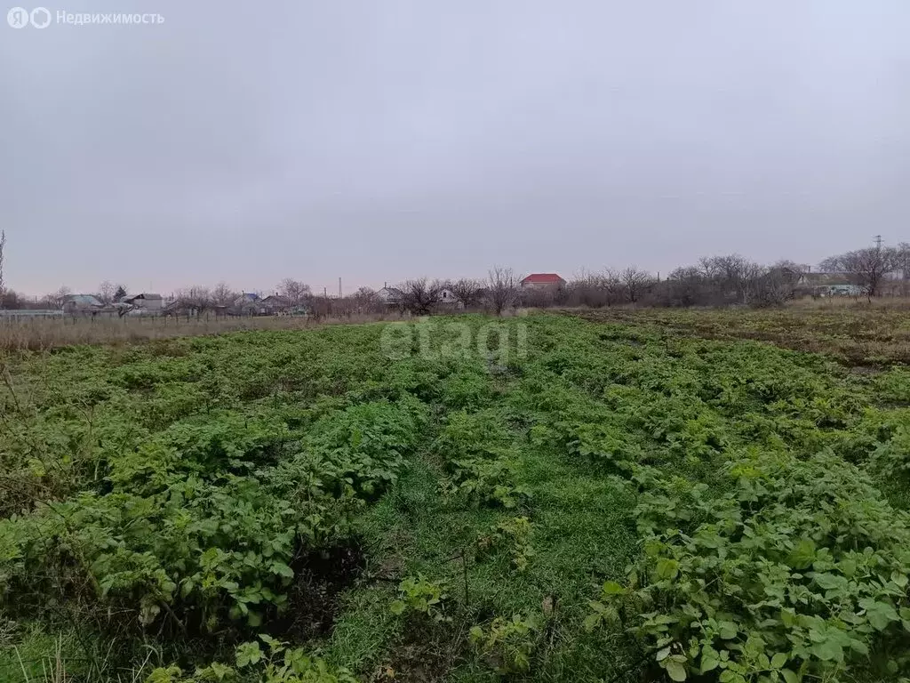 Участок в Краснодарский край, муниципальный округ Анапа, хутор ... - Фото 1