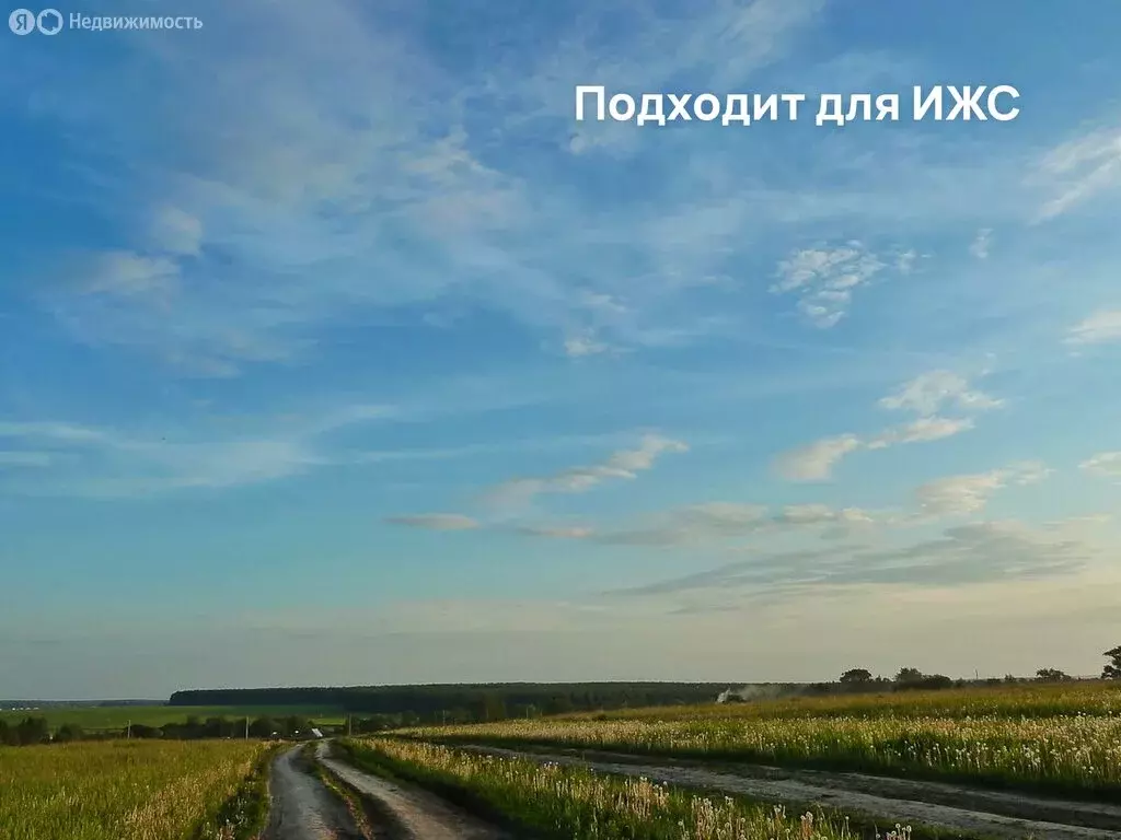 Участок в Московская область, Раменский муниципальный округ, ... - Фото 1