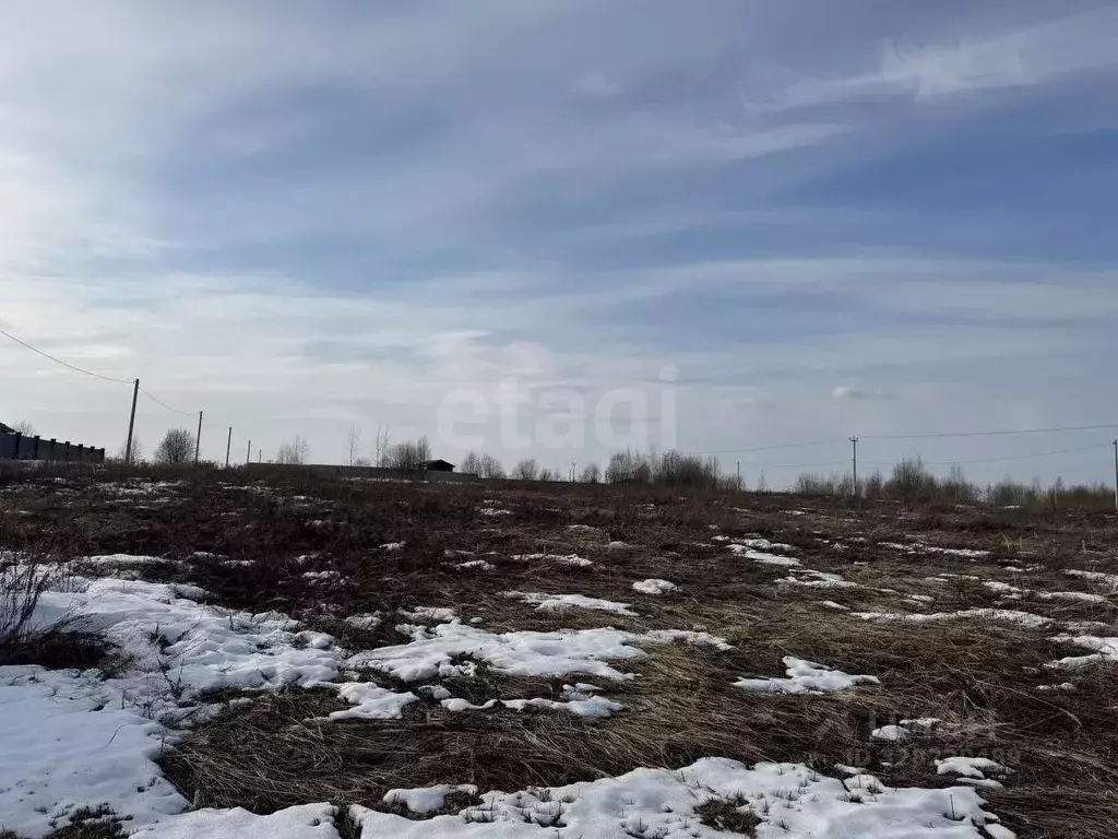 Участок в Брянская область, Брянский район, Отрадненское с/пос, с. ... - Фото 1