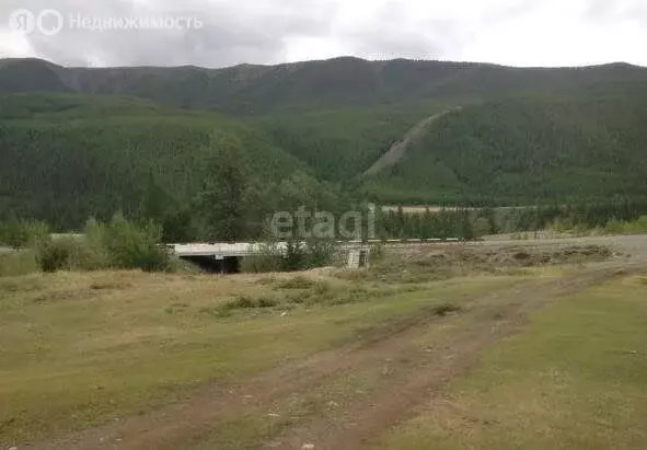 Участок в Кош-Агачский район, село Курай (3667 м) - Фото 1