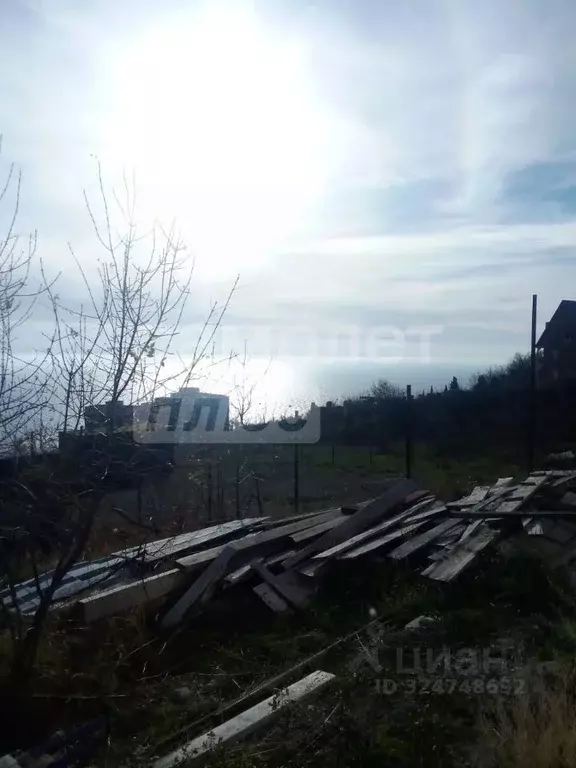 Студия Крым, Ялта муниципальный округ, Парковое пгт ул. Центральная, 1 ... - Фото 1