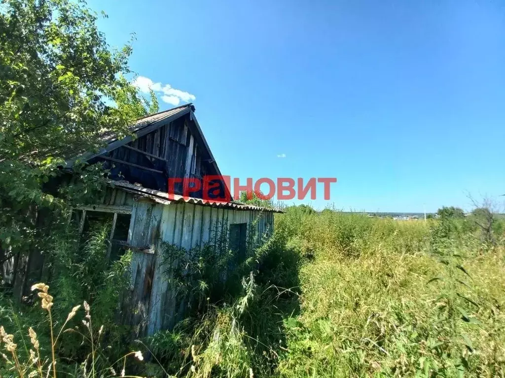 Дом в Новосибирская область, Ордынский район, с. Чингис ул. Кустарная, ... - Фото 1