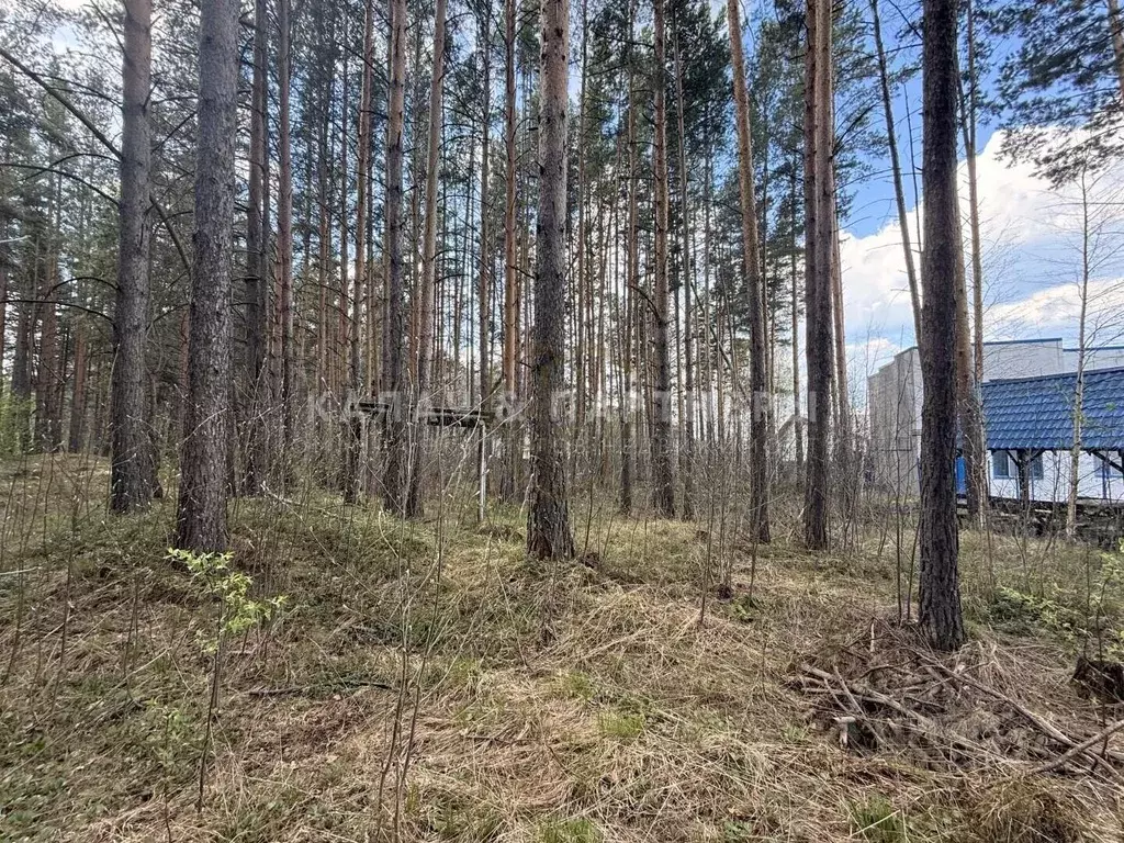 Участок в Свердловская область, Полевской муниципальный округ, с. ... - Фото 2