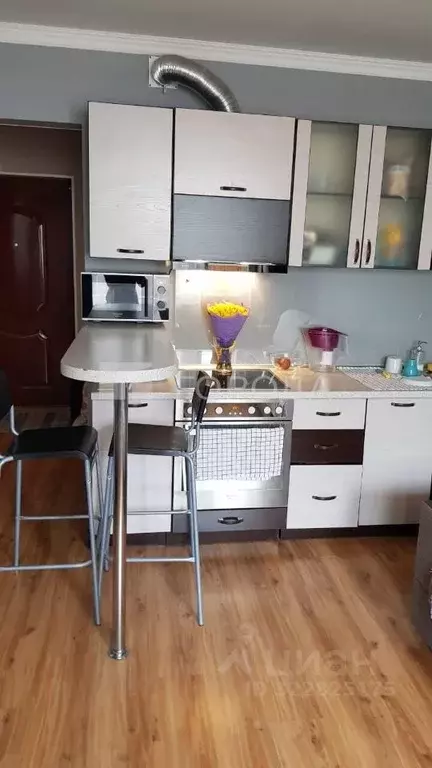 Студия Новосибирская область, Новосибирск Горский мкр, 63/1 (24.5 м) - Фото 0