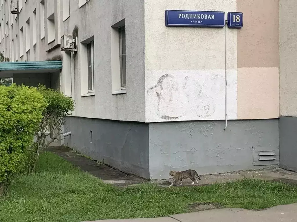 3-к кв. Москва Родниковая ул., 18К1 (49.1 м) - Фото 1