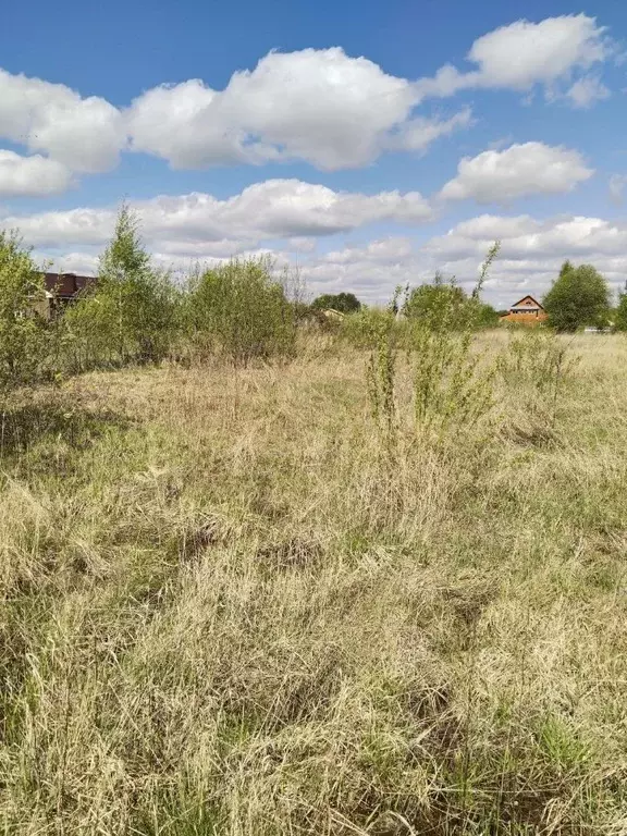 Участок в Московская область, Орехово-Зуевский городской округ, д. ... - Фото 1