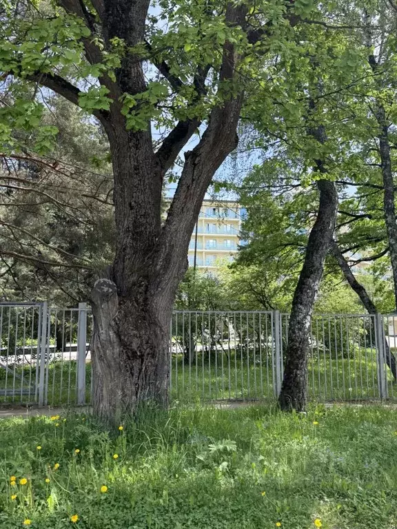 Дом в Московская область, Мытищи городской округ, д. Аксаково ул. ... - Фото 1