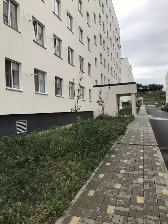 1-к кв. Волгоградская область, Волгоград ул. Ломоносова, 77 (22.0 м) - Фото 1