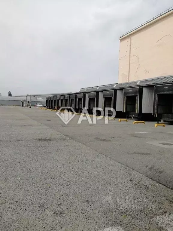 Склад в Краснодарский край, Новороссийск ул. Мира, 9А (373 м) - Фото 1