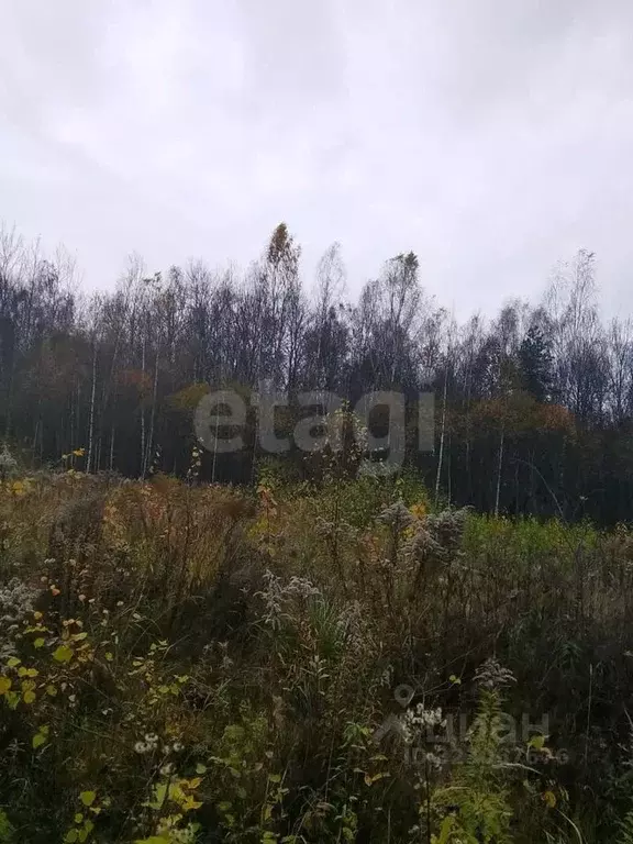 Участок в Калужская область, Город Калуга городской округ, д. Груздово ... - Фото 2