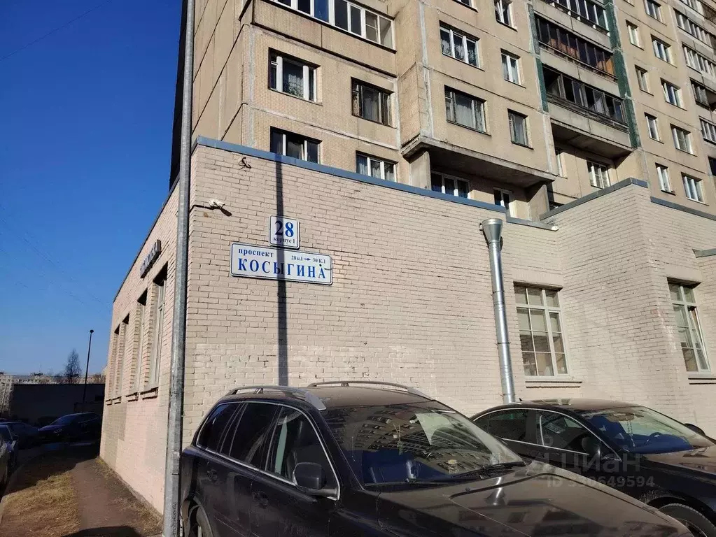Торговая площадь в Санкт-Петербург просп. Косыгина, 28К1 (166 м) - Фото 2