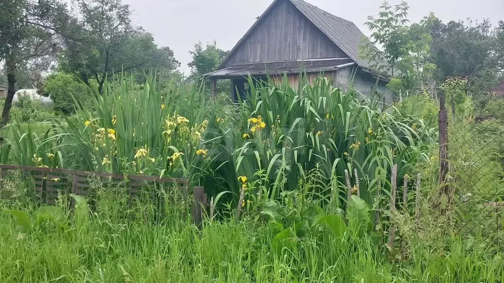 Дача 12 м на участке 7,9 сот. - Фото 1