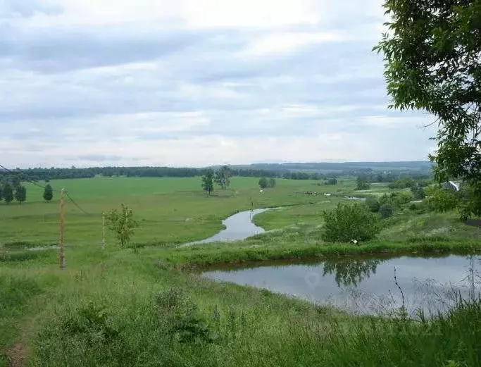 Участок в Нижегородская область, Богородский муниципальный округ, с. ... - Фото 0