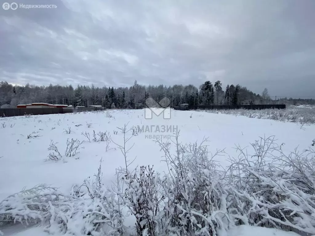 Участок в Московская область, городской округ Щёлково, деревня Маврино ... - Фото 0