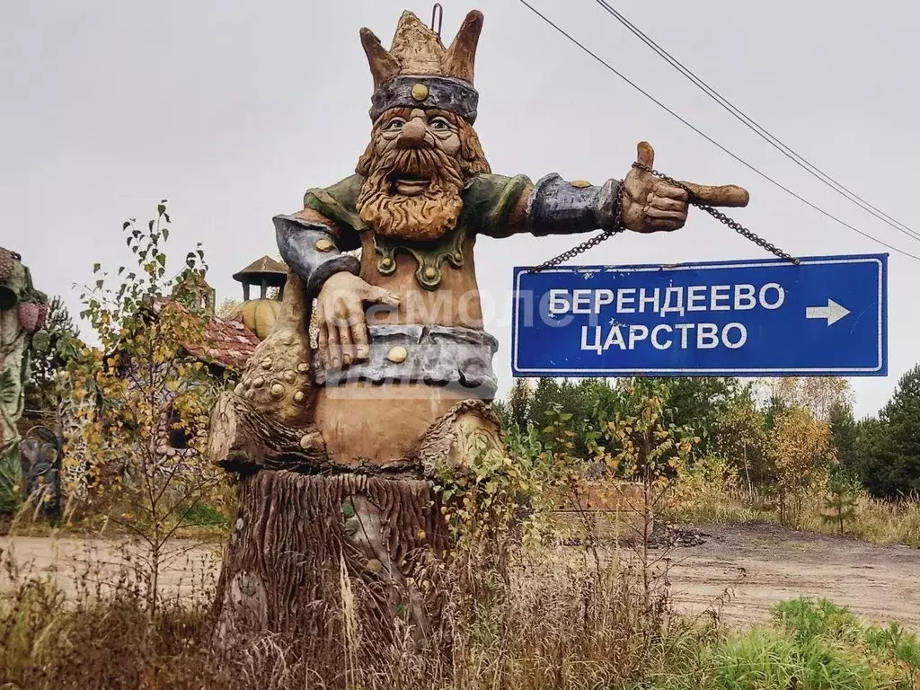 Участок в Московская область, Серпухов городской округ, Берендеево ... - Фото 2