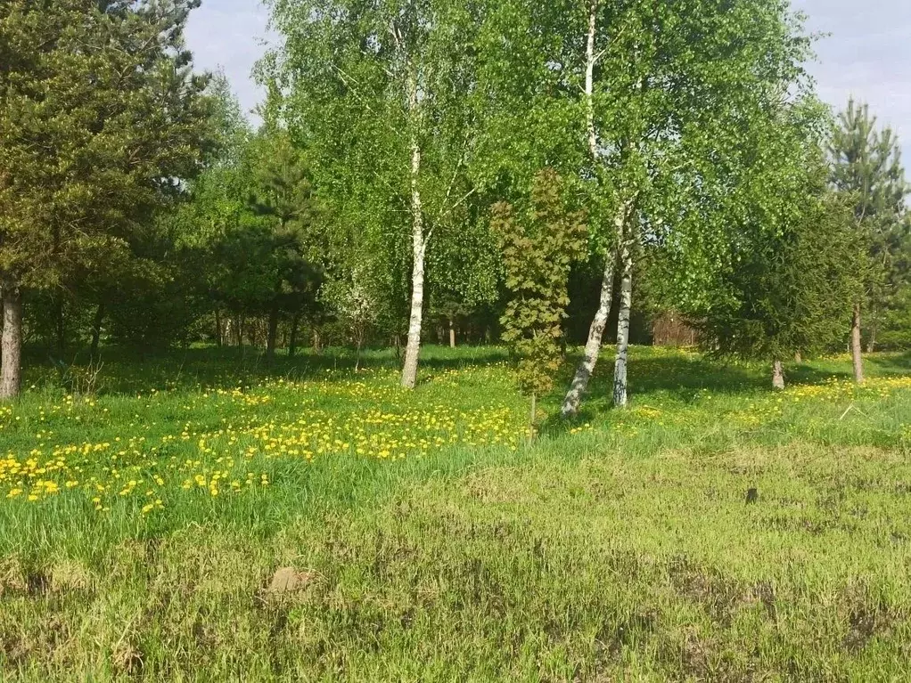 Участок в Московская область, Ступино городской округ, д. Уварово ул. ... - Фото 1