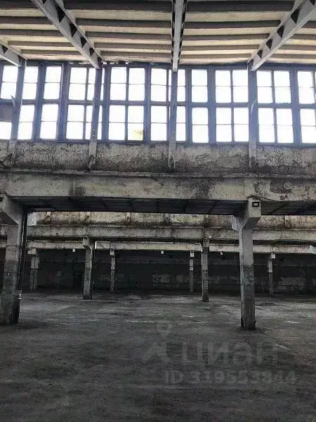 Склад в Московская область, Ногинск Богородский городской округ, ул. 8 ... - Фото 1