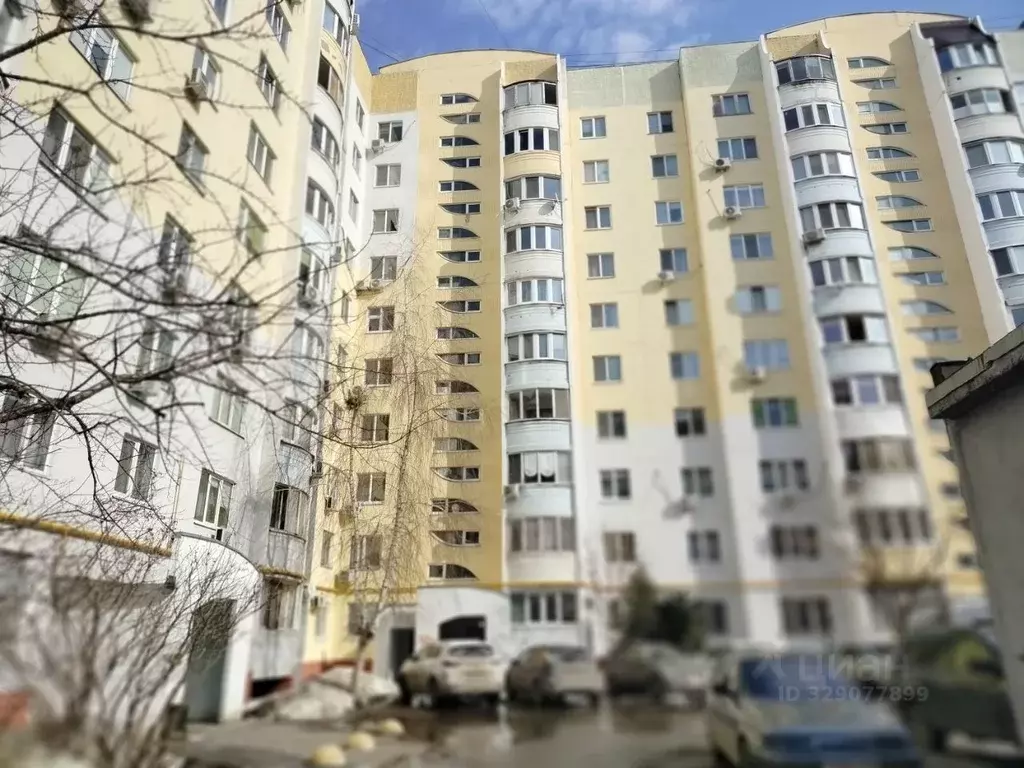 1-к кв. Саратовская область, Саратов ул. Имени П.Ф. Батавина, 13 (39.9 ... - Фото 1