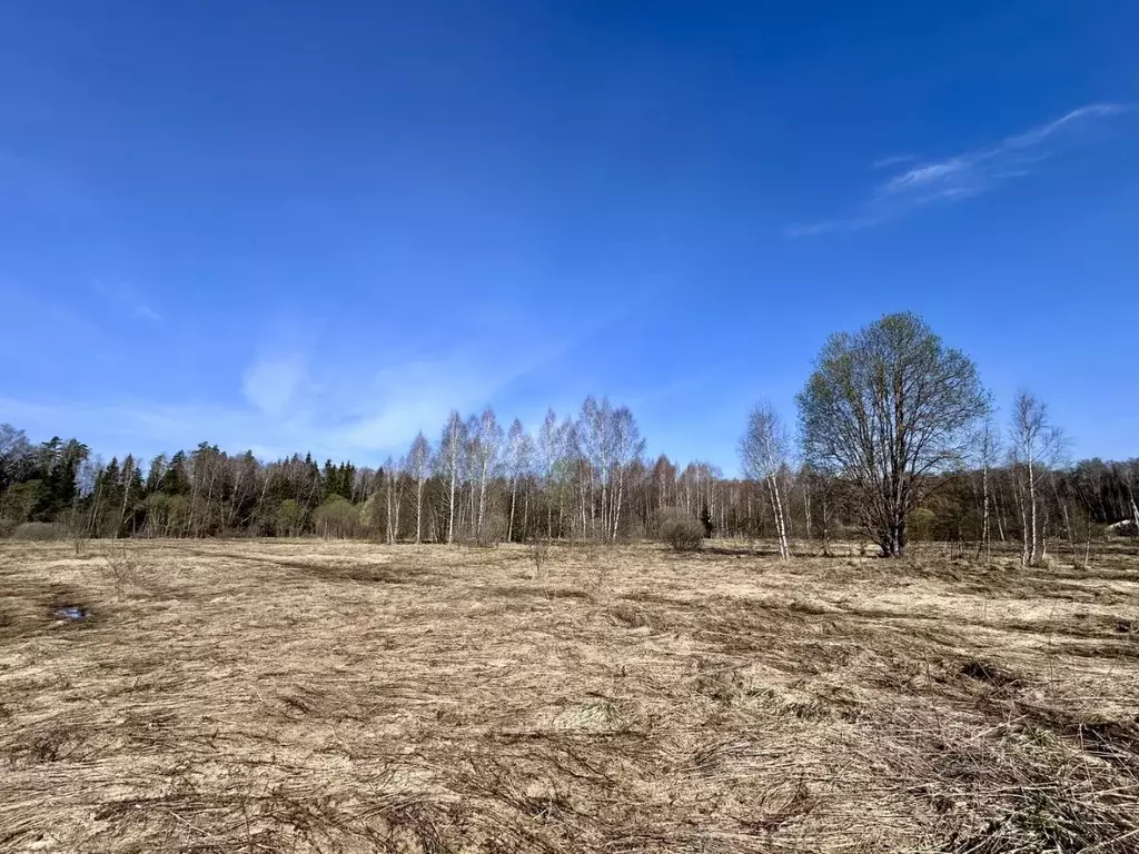 Участок в Московская область, Рузский муниципальный округ, пос. Старо ... - Фото 1
