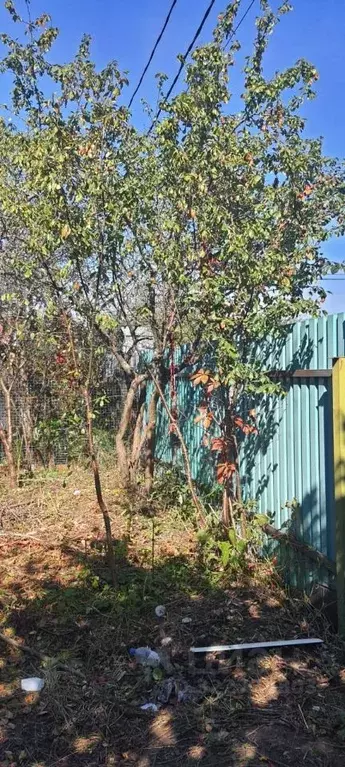 Дом в Московская область, Подольск Весна-6 СНТ, 51 (40 м) - Фото 1