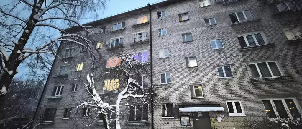 1-к кв. Московская область, Лосино-Петровский ул. Чехова, 4 (29.0 м) - Фото 2