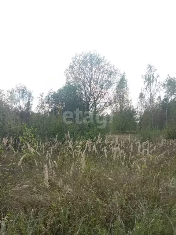 Участок в Калужская область, Калуга городской округ, д. Мстихино  ... - Фото 0