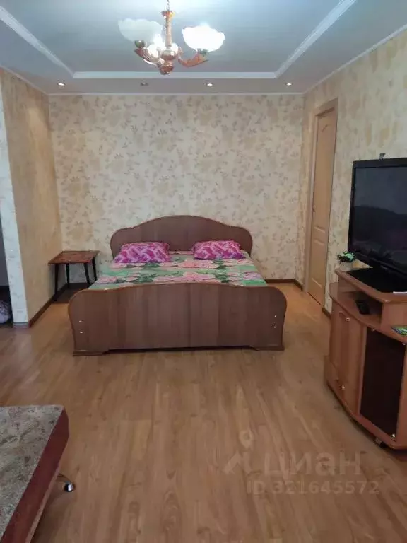 1-к кв. Курганская область, Курган ул. Коли Мяготина, 98 (50.0 м) - Фото 0