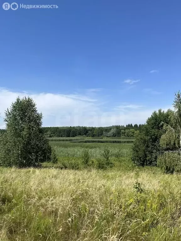 Участок в Пермский муниципальный округ, село Курашим (5 м) - Фото 2