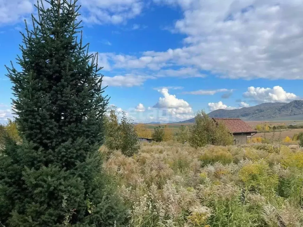 Участок в Алтайский край, Белокуриха ул. 2-я Восточная (15.0 сот.) - Фото 0