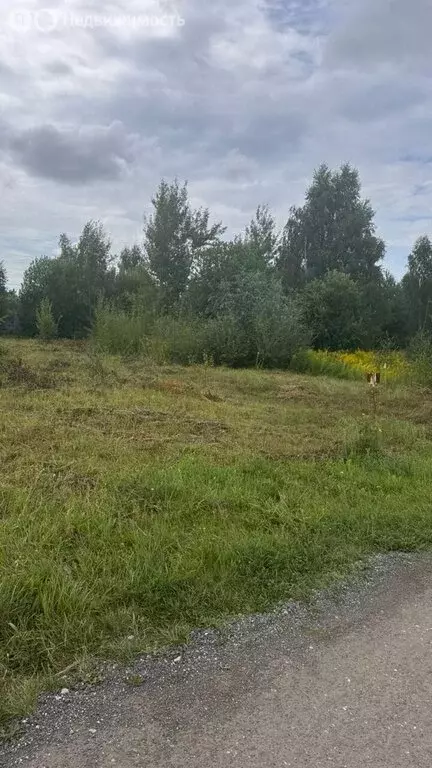 Участок в Нижний Новгород, ТИЗ Покровское, 1-й квартал, 1 (8 м) - Фото 1