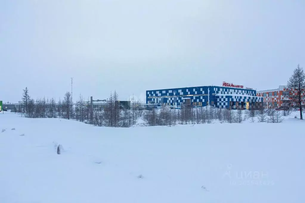 Участок в Ямало-Ненецкий АО, Новый Уренгой ул. Геологоразведчиков ... - Фото 1