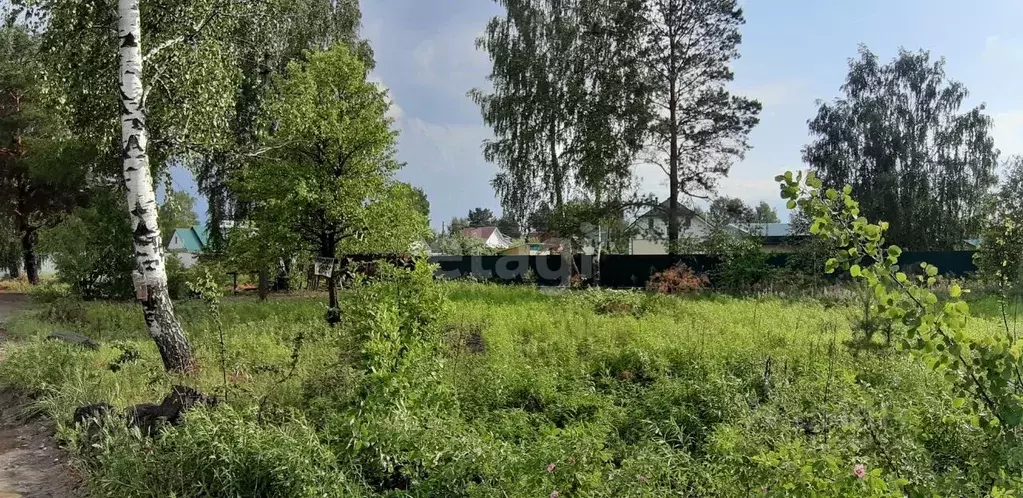 Купить Дом Совхоз Победа Жуковский Район