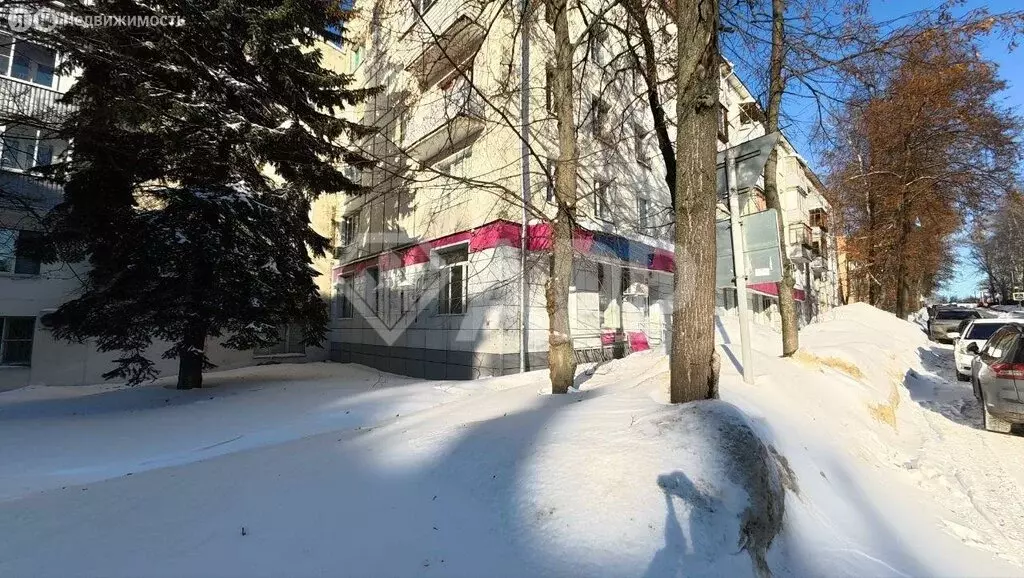 Помещение свободного назначения (263.4 м) - Фото 2