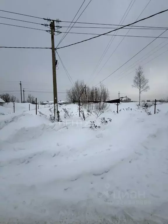 Участок в Владимирская область, Суздальский муниципальный округ, пос. ... - Фото 2