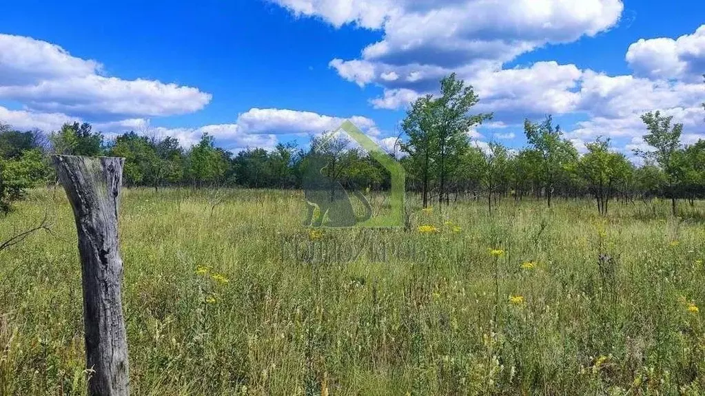 Участок в Самарская область, с. Шигоны ул. Кооперативная (15.0 сот.) - Фото 1