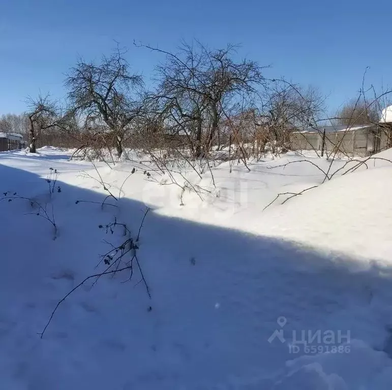 Участок в Тульская область, Тула муниципальное образование, с. Высокое ... - Фото 1