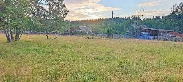 Участок в Свердловская область, Кировградский городской округ, пос. ... - Фото 0